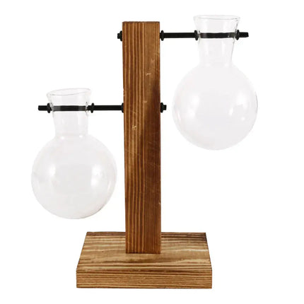 MyGiftHome Bulb Shaped Plant Terrarium with Wooden Stand MyGiftHome