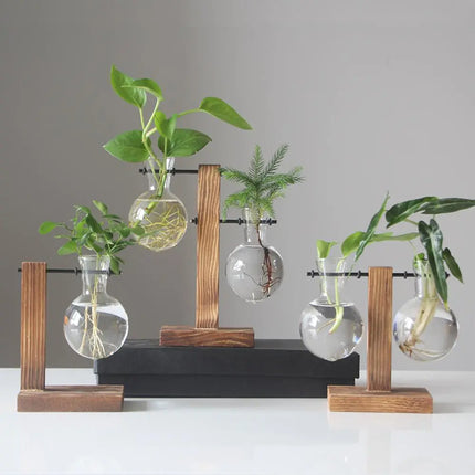 MyGiftHome Bulb Shaped Plant Terrarium with Wooden Stand MyGiftHome