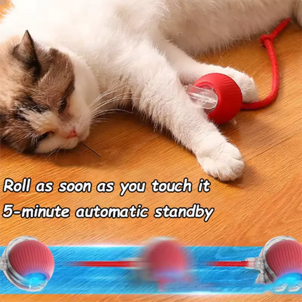 MyGiftHome Automatic Interactive Cat Toy Ball