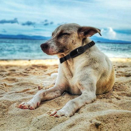 MyGiftHome 1080P HD Wireless Pet Collar Camera