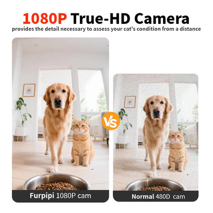 MyGiftHome Automatic Cat Feeder with 1080P Camera