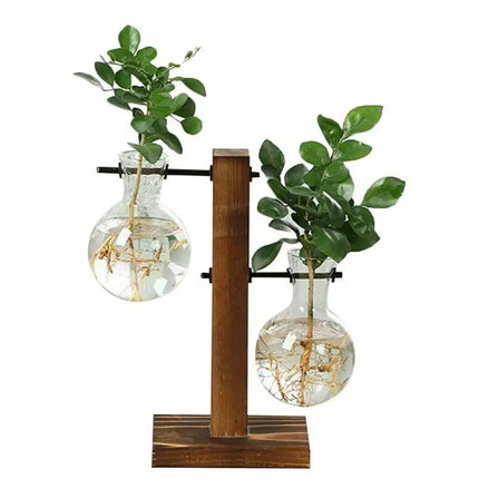 MyGiftHome Bulb Shaped Plant Terrarium with Wooden Stand MyGiftHome