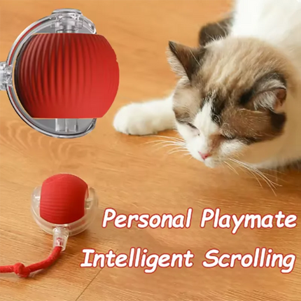 MyGiftHome Automatic Interactive Cat Toy Ball