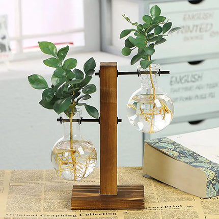 MyGiftHome Bulb Shaped Plant Terrarium with Wooden Stand MyGiftHome