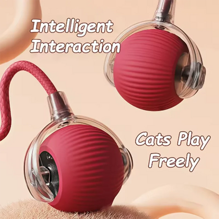 MyGiftHome Automatic Interactive Cat Toy Ball