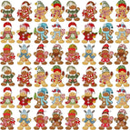 48PCS