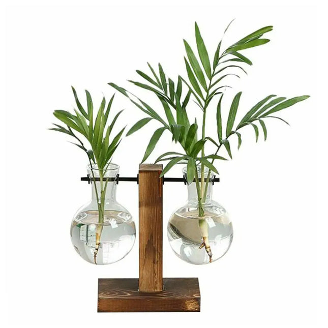 MyGiftHome Bulb Shaped Plant Terrarium with Wooden Stand MyGiftHome