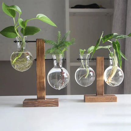 MyGiftHome Bulb Shaped Plant Terrarium with Wooden Stand MyGiftHome
